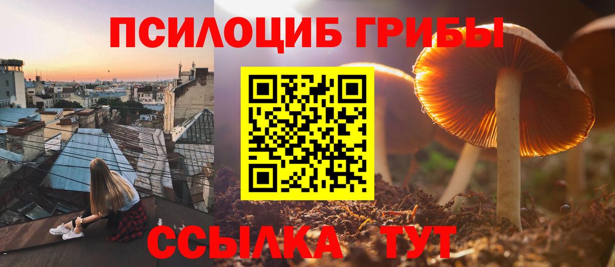 Галлюциногенные грибы ЛСД Видное