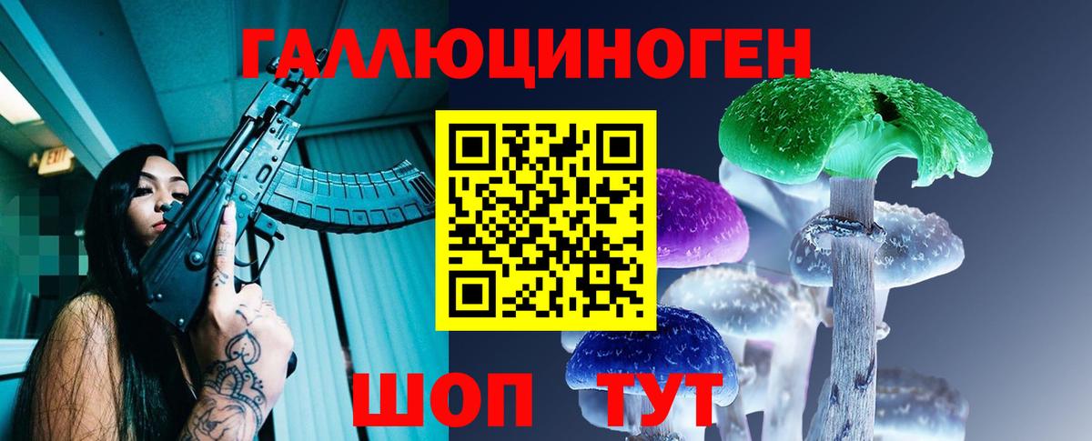 Видное  Галлюциногенные грибы Cubensis  Вход с VPN 